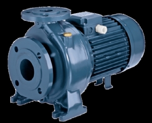 Máy bơm ly tâm trục ngang EBARA 3D 65-160/11 15HP